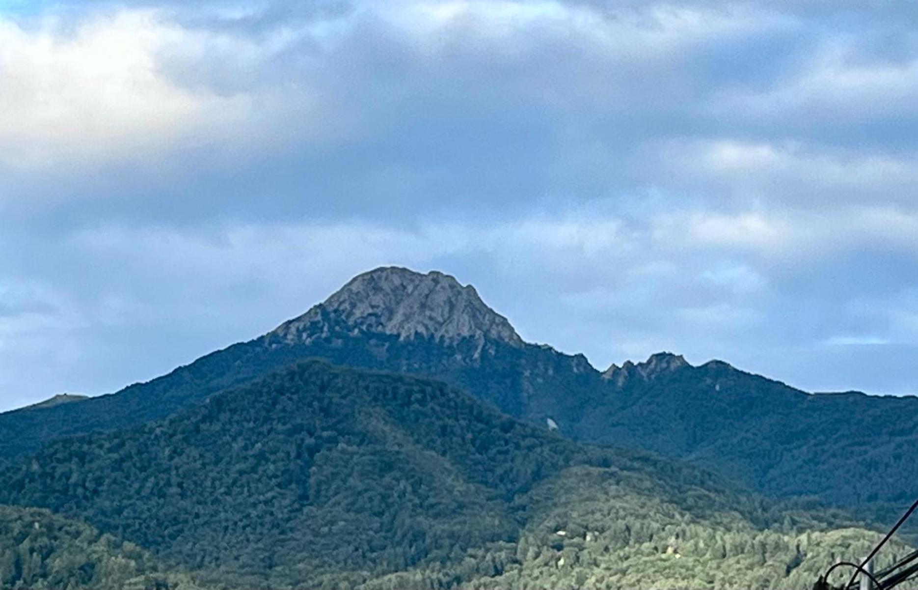 Apartamento El Mirador De La Farga Arbúcies Buitenkant foto
