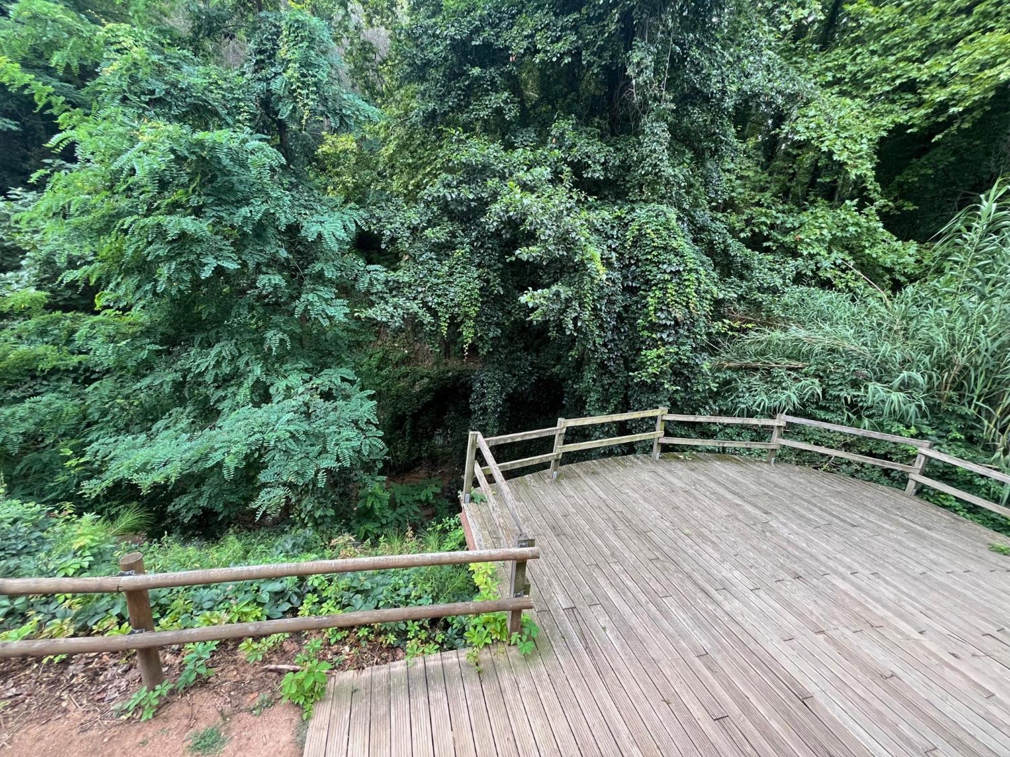 Apartamento El Mirador De La Farga Arbúcies Buitenkant foto