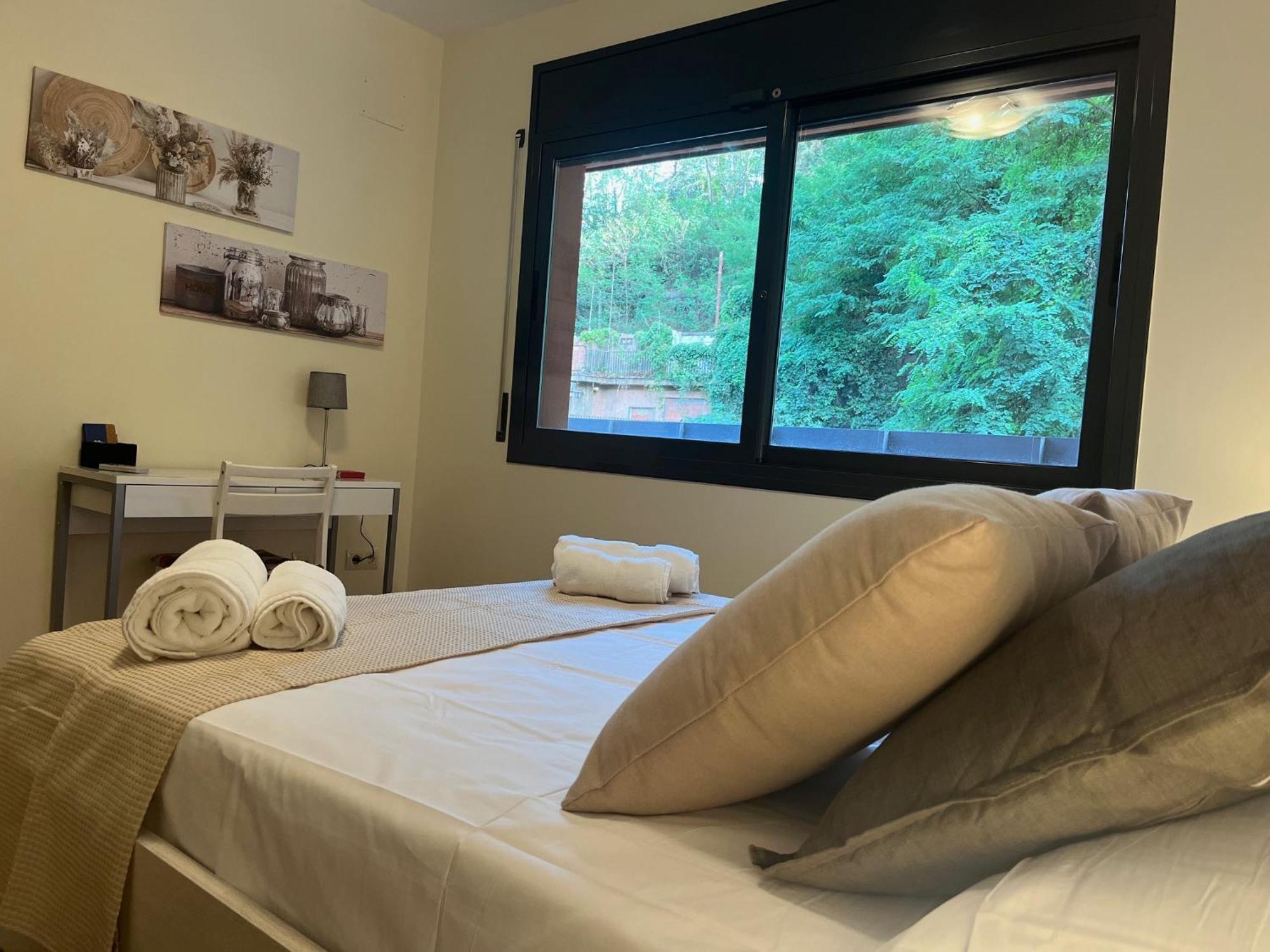 Apartamento El Mirador De La Farga Arbúcies Buitenkant foto